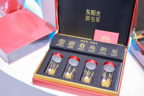 東陽光鮮蟲草探索生態(tài)繁育路徑，推動(dòng)冬蟲夏草產(chǎn)業(yè)向可持續(xù)邁進(jìn)