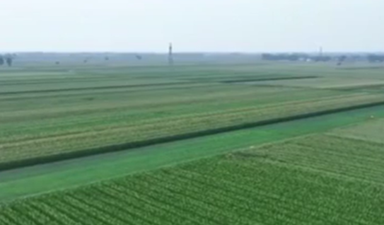 各地加強(qiáng)田管 夯實(shí)秋糧穩(wěn)產(chǎn)基礎(chǔ)