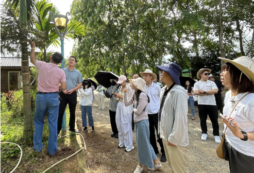 20250819154308506.png 20250819154308506.png