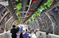 “清涼經(jīng)濟”乘“熱”而上 熱產(chǎn)品、暖服務將“涼資源”變成“熱錢流”