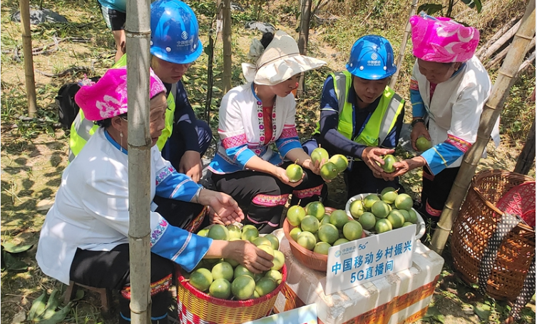 從瑤寨到邊境，中國(guó)移動(dòng)十年電信普遍服務(wù)助城鄉(xiāng)蝶變