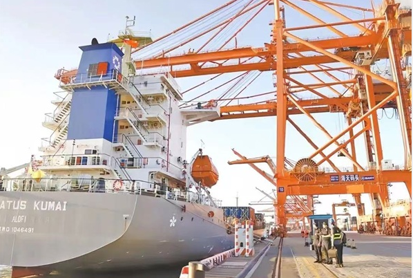 直達(dá)印尼！福建廈門港再添一條“金磚航線”