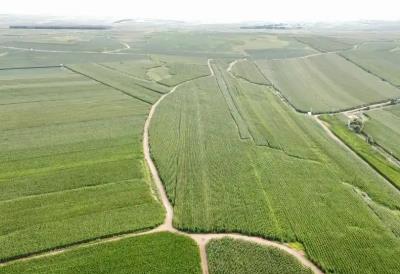 內(nèi)蒙古：保護(hù)性耕作穩(wěn)步擴(kuò)面