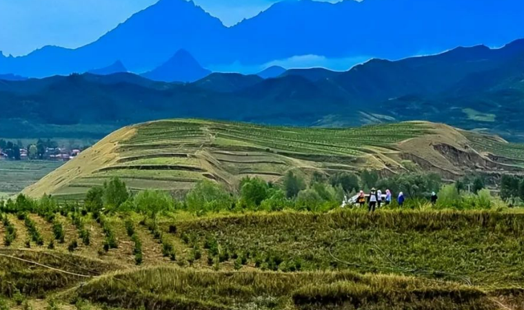 聚焦“三北”工程，國務院作出新部署