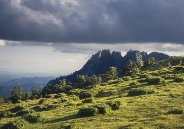 中國(guó)暑期旅游新趨勢(shì)：“主題奔赴”帶動(dòng)消費(fèi)熱潮
