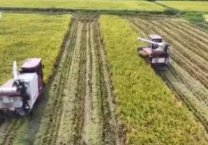 巡檢機(jī)器人、無人化工廠……解鎖農(nóng)業(yè)“智”管新范式 科技賦能好“豐”景