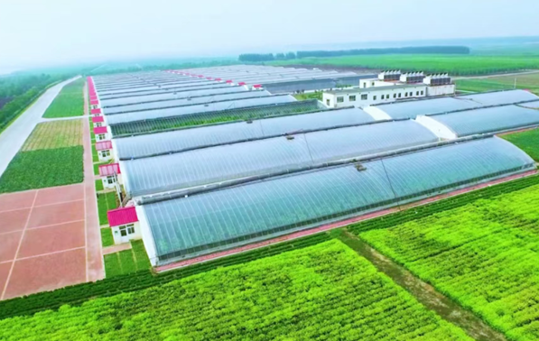 山東省屬國(guó)資國(guó)企錨定綠色發(fā)展核心導(dǎo)向 繪就生態(tài)新答卷