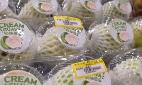 “甜蜜產(chǎn)業(yè)”出?！瓣J世界”圈粉無(wú)數(shù) 透過(guò)大數(shù)據(jù)解鎖消費(fèi)新趨勢(shì)