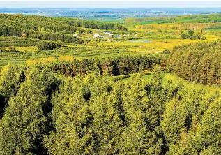 黑龍江牡丹江：營商沃土培育“產(chǎn)業(yè)森林”