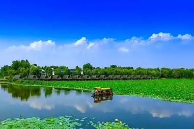 從“漁舟唱晚”到“水陸空”全景體驗(yàn)山東微山縣：“中國(guó)荷都”讓生態(tài)資源“火”起來(lái)