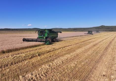 黑龍江省呼瑪縣4.35萬畝寒地小麥?zhǔn)崭罱咏猜?></a></div><!-- img end -->	<div   id=