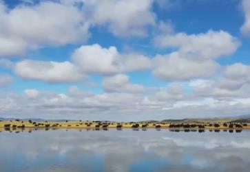 中秋國慶“雙節(jié)同慶”熱潮涌動 國內游出境游雙雙攀升