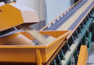 最新數(shù)據(jù)顯示：全國小麥?zhǔn)召徚砍?億噸