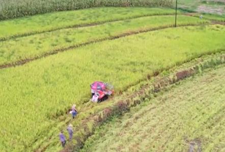 “科技+”為農(nóng)業(yè)現(xiàn)代化插上騰飛的翅膀 良種良機(jī)良法繪就金秋好“豐”景