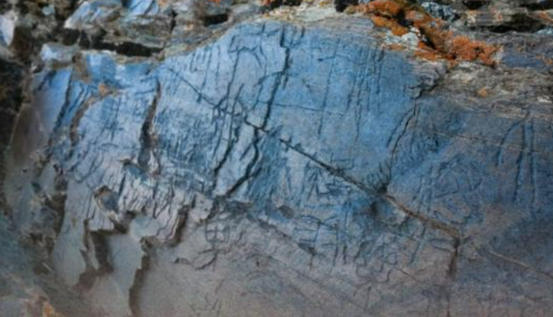 補史之缺！海拔最高秦刻石認定