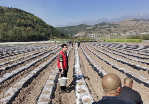 20250919101243136.png 20250919101243136.png