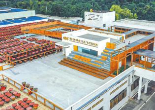 四川如何玩轉(zhuǎn)“工業(yè)＋文旅”？