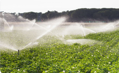 我國耕地灌溉面積達(dá)10.86億畝 生產(chǎn)全國超80%糧食