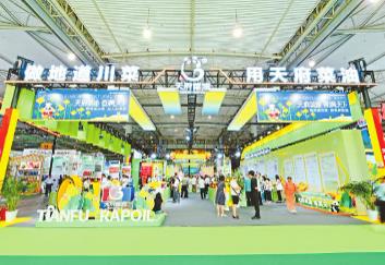 推動川油飄香四海  “天府菜油”引領(lǐng)四川糧油產(chǎn)業(yè)加速崛起