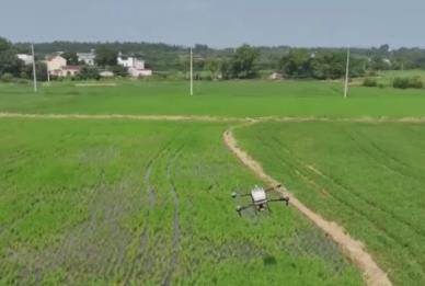 機(jī)械滿(mǎn)田飛！“最酷新農(nóng)人”玩轉(zhuǎn)新農(nóng)具 “云端運(yùn)輸”成秋收標(biāo)配“小助手”