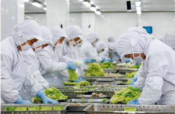 政策定調(diào) 標準護航 認識提升  預(yù)制菜產(chǎn)業(yè)高質(zhì)量發(fā)展當跨“三重門”
