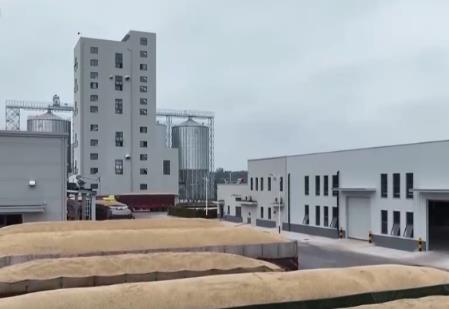 “沃野糧倉(cāng)”科技大顯身手 金秋多彩“豐”景有“智”又有“質(zhì)”