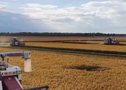 沃野金黃、瓜果飄香、漁獲滿倉(cāng)鋪展喜人“豐”景 “科技+”讓農(nóng)業(yè)向“智”而行