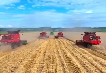 飯碗端得更牢 我國(guó)糧食供給保障能力持續(xù)增強(qiáng)