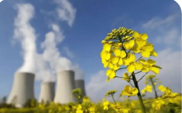 世界核能發(fā)電創(chuàng)新高 鈾供應缺口隱憂凸顯