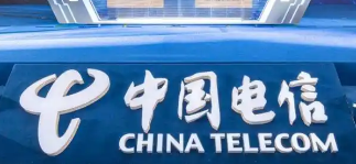 中國電信完成行業(yè)首個大模型多方協(xié)同隱私訓練試驗