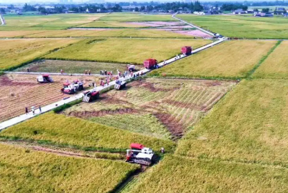 打造更高水平“天府糧倉”——四川加快推進(jìn)農(nóng)業(yè)現(xiàn)代化觀察