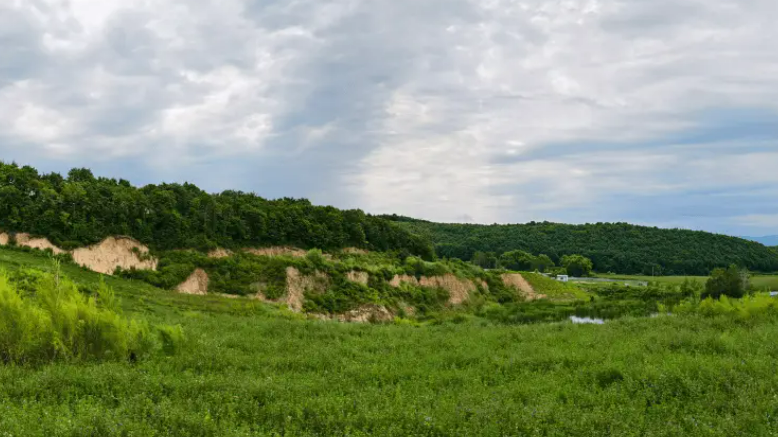 寫好生態(tài)修復(fù)的龍江答卷
