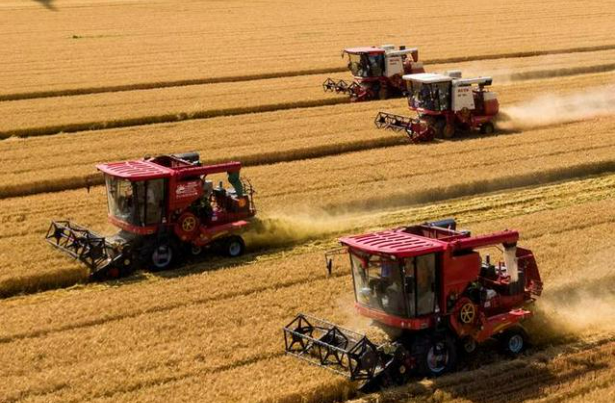 河南：多措并舉確保“三秋”生產(chǎn)有序推進(jìn)