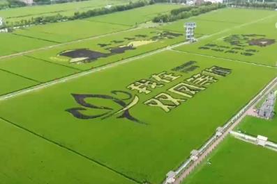 “豐收消費”打造農(nóng)文旅融合新場景、新業(yè)態(tài) 打開田間地頭增收新空間