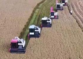 一大批農(nóng)產(chǎn)品正走向你的餐桌！全國秋糧收獲近四成