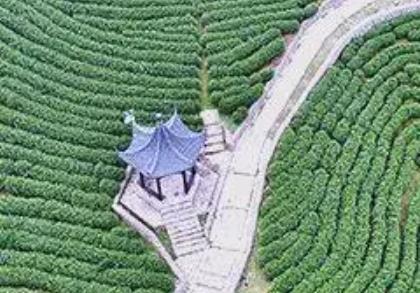 創(chuàng)意賦能玩法出新 長三角鄉(xiāng)村游如何“熱”起來？