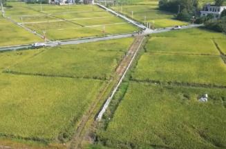 稻菽飄香、果實累累 希望的田野上唱響金秋豐收“歡歌”