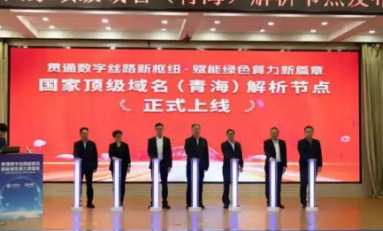 國(guó)家頂級(jí)域名（青海）解析節(jié)點(diǎn)上線(xiàn)