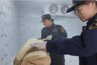 黑龍江遜克口岸迎來首批冰鮮水產(chǎn)品