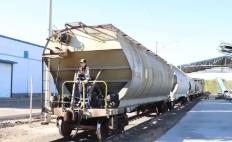 北糧南運迎高峰 鐵路部門開行首趟糧食專列