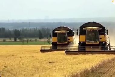 14億多中國人的飯碗端得更牢 農(nóng)民的腰包越來越鼓