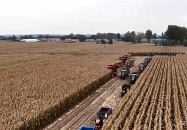 豐收在望！“科技當(dāng)家”玉米產(chǎn)量穩(wěn)步攀升 “梨樹模式”讓黑土地?zé)òl(fā)生機(jī)