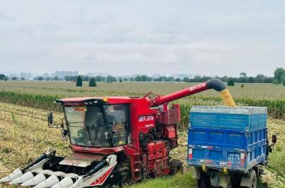 河南農(nóng)業(yè)必須闖過“多雨常態(tài)”這道關(guān)