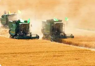 內(nèi)蒙古以“科學(xué)儲(chǔ)糧＋智慧監(jiān)測(cè)”推動(dòng)節(jié)糧減損