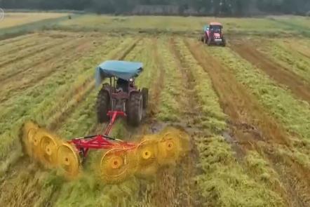 金秋十月“豐”景如畫？ 機(jī)械化提質(zhì)增效奏響現(xiàn)代農(nóng)業(yè)“奮進(jìn)曲”