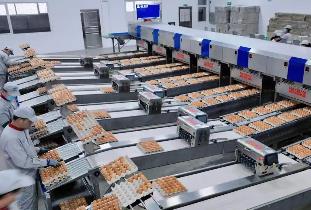 明年1月1日起施行 《蛋制品生產(chǎn)許可審查細(xì)則（2025版）》發(fā)布