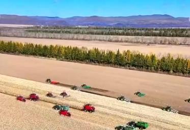 我國農(nóng)業(yè)農(nóng)村現(xiàn)代化邁出堅(jiān)實(shí)步伐