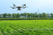 風(fēng)雨之下穩(wěn)糧倉——河南農(nóng)業(yè)生產(chǎn)的“韌性密碼”