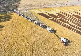 黑龍江省農(nóng)作物耕種收綜合機(jī)械化率持續(xù)保持在99%以上 多年穩(wěn)居全國首位