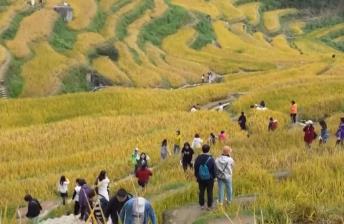 “田園風(fēng)光+潮流玩法”成文旅融合新亮點(diǎn) 鄉(xiāng)村旅游新消費(fèi)活力十足